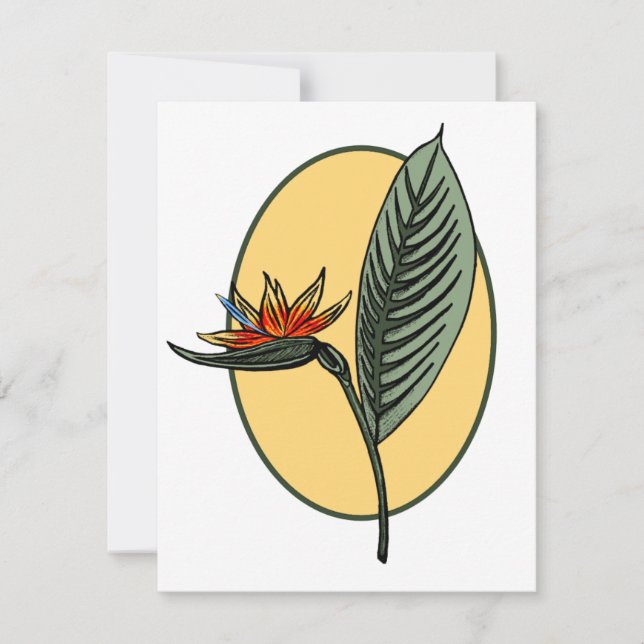 Paradise-fågeln (Framsida)