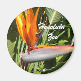 Paradise-fågeln, Honolulu Zoo Magnet