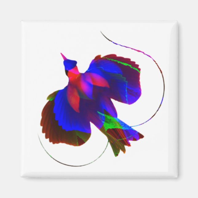 Paradise-fågeln i Papua Nya Guinea Magnet (Framsidan)