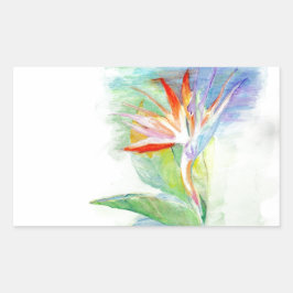 Paradise-fågeln Rektangulärt Klistermärke