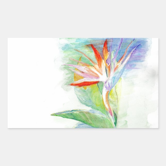 Paradise-fågeln Rektangulärt Klistermärke (Framsida)