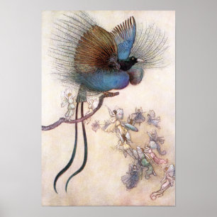 Paradise-fågeln vid Warwick Goble Poster