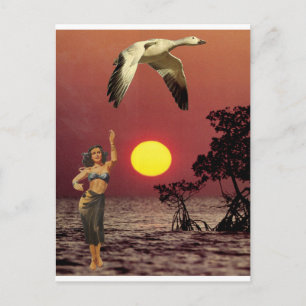 Paradise-fågeln - vykort