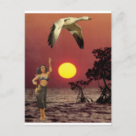 Paradise-fågeln - vykort