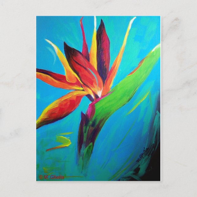 Paradise-fågeln Vykort (Framsida)