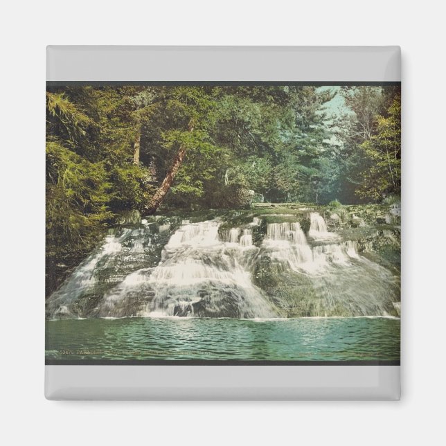 Paradise Falls, Pocono Mountains, Pennsylvania rar Magnet (Framsidan)