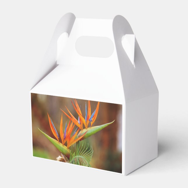 Paradise Favor Boxes Presentaskar (Baksidan Sidan)
