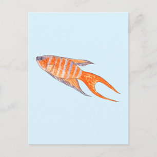 Paradise Fish, Watercolor. Vykort