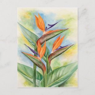 Paradise Flower Art - Multi Vykort