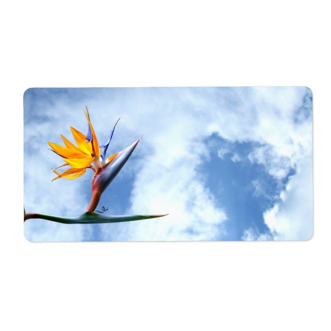 Paradise Flower Fraktsedel (Framsidan)