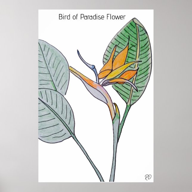 Paradise Flower Poster (Framsidan)
