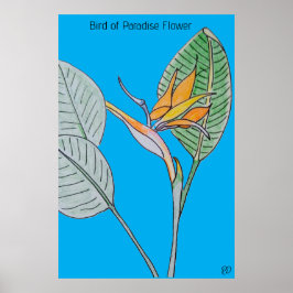 Paradise Flower Poster