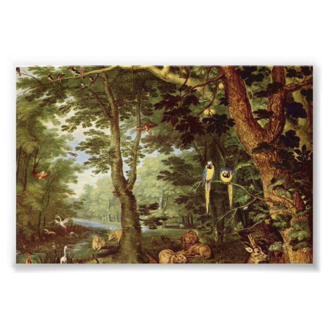 Paradise Fototryck (Framsidan)