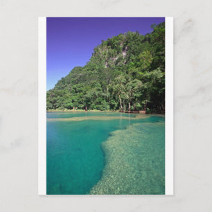 Paradise grönt lagoon Semuc Champey Guatemala Vykort