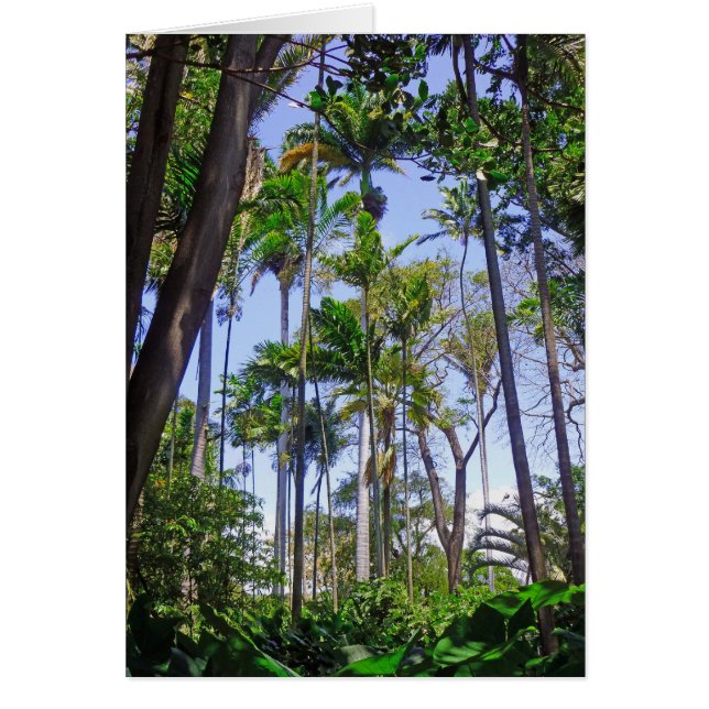 Paradise Handflatan Hälsningskort (Framsidan)