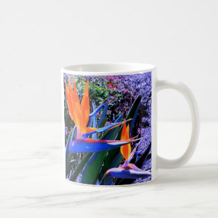 Paradise Hawaiis fåglar Kaffemugg