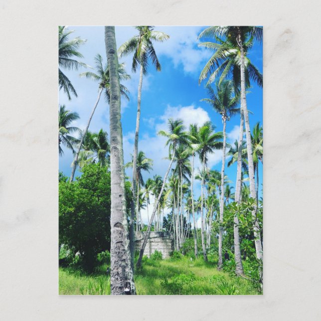 Paradise i Stillahavsområdet Vykort (Framsida)