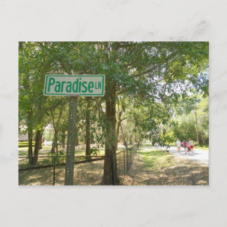 Paradise Lane Florida Vykort