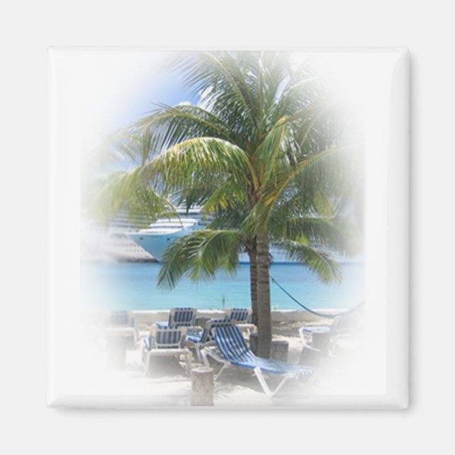 Paradise Magnet (Framsidan)