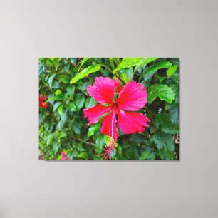 PARADISE MORNING CANVASTRYCK