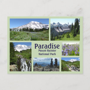 Paradise (Mount Rainier) Collage Vykort