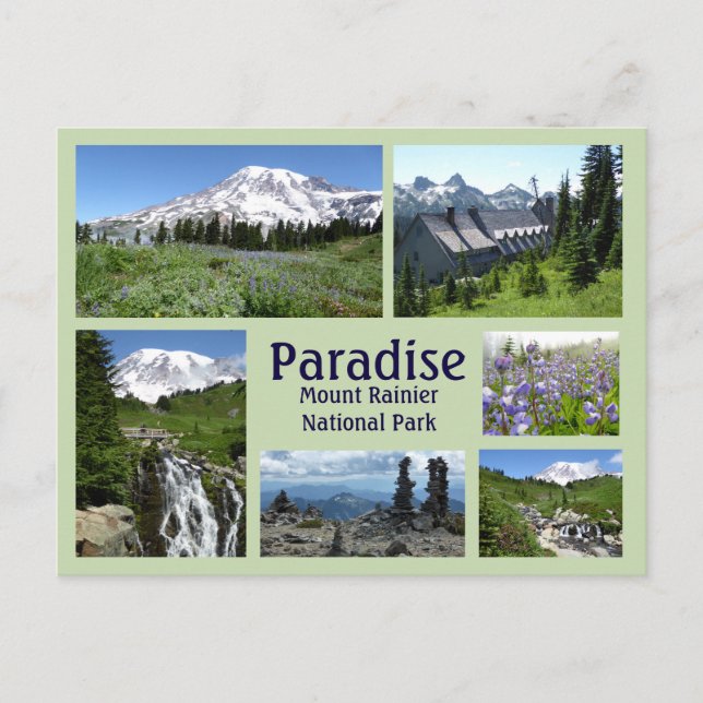 Paradise (Mount Rainier) Collage Vykort (Framsida)