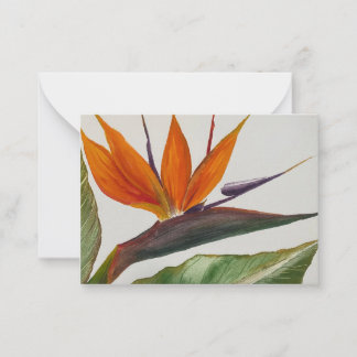 Paradise Notecard Anteckningskort