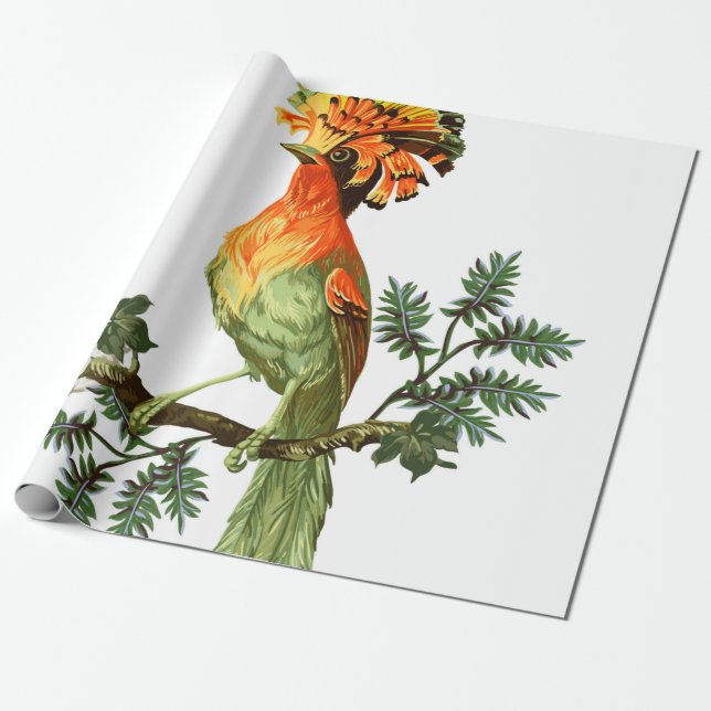 Paradise- och exotiska blommor på vit bas presentpapper (Utrullad)