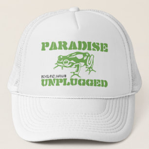 PARADISE OPLUGGAD - STORÖN, HAWAII KEPS