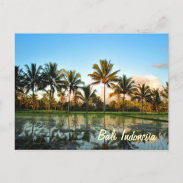 Paradise Photo Tropical Handflatan Träd Bali Indon Vykort