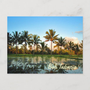 Paradise Photo Tropical Handflatan Träd Bali Indon Vykort