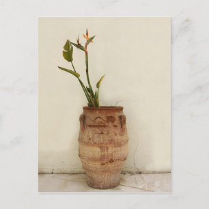 Paradise Plant Postcard Vykort