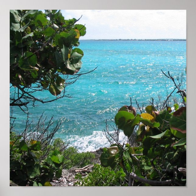 Paradise Poster (Framsidan)