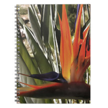 Paradise Strelitzia Reginae Acrylic Painti