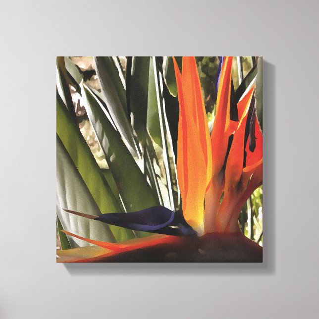 Paradise Strelitzia Reginae Acrylic Painti Canvastryck (Framsida)