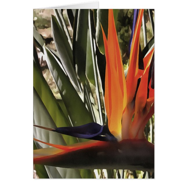 Paradise Strelitzia Reginae Acrylic Painti Hälsningskort (Framsidan)