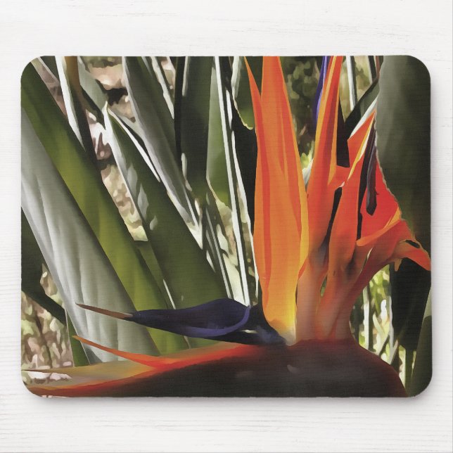 Paradise Strelitzia Reginae Acrylic Painti Musmatta (Framsidan)