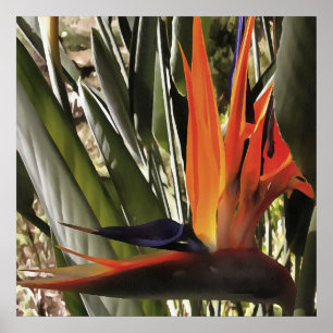 Paradise Strelitzia Reginae Acrylic Painti Poster