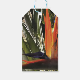 Paradise Strelitzia Reginae Acrylic Painti Presentetikett