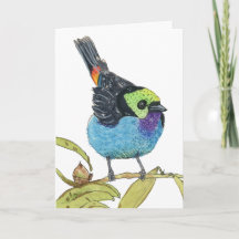 Paradise Tanager | Färgrik Tropisk Fågel Hälsning