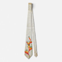 Paradise Tie-fågeln
