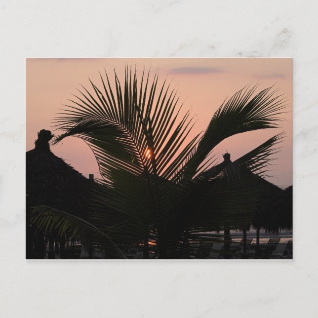 Paradise Village - Puerto Vallarta, Mexiko Vykort (Framsida)