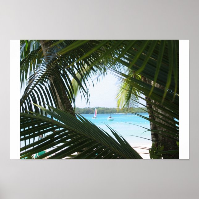Paradise Window Poster (Framsidan)