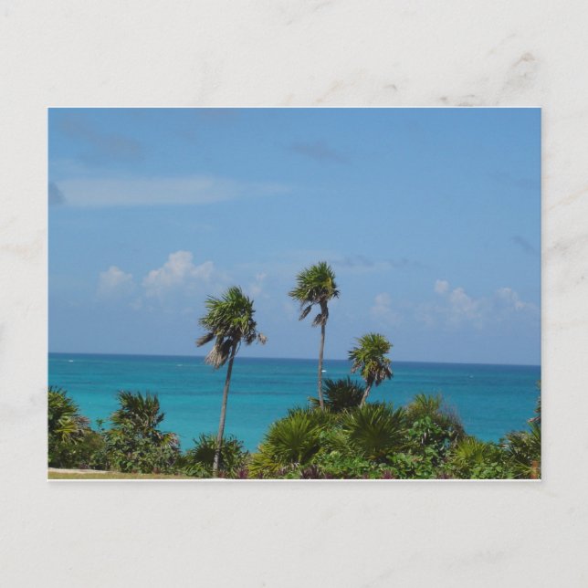 paradiset vykort (Framsida)