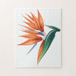 Paradisets fågel, den exotiska blomman från stre pussel