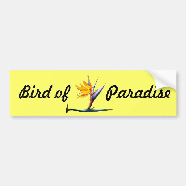 Paradisfågel Bildekal (Framsidan)