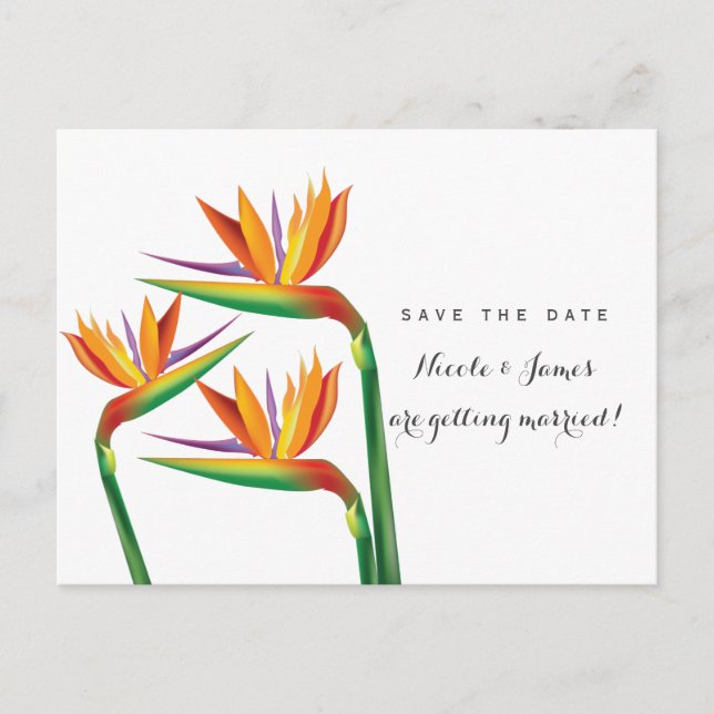 Paradisfågel Bröllop Save The Date Postkort Meddelande Vykort (Framsida)