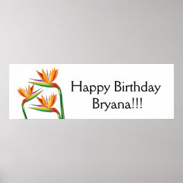 Paradisfågel Tropisk Blommig Fest Banner Poster