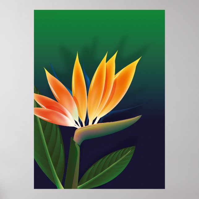Paradisfågelblomma Poster (Framsidan)