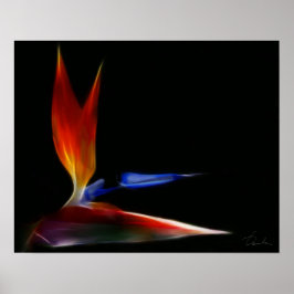 paradisfågeln poster